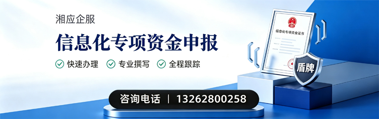 红河信息化专项资金申报服务