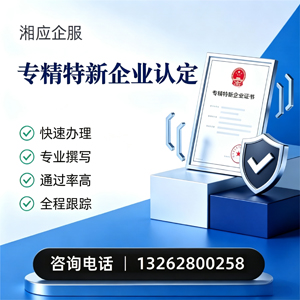 红河专精特新企业申报服务