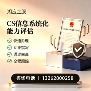 红河CS信息系统化能力评估申报服务