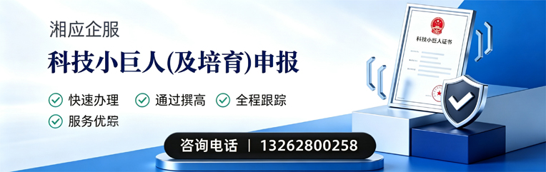 红河科技小巨人及培育企业申报服务