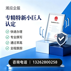 红河专精特新小巨人申报服务
