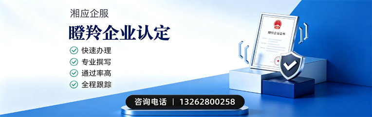 红河瞪羚企业认定申报服务