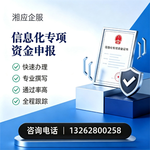 红河信息化专项资金申报服务