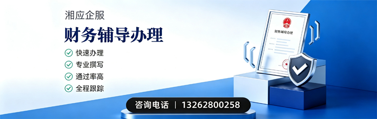 红河财务辅导申请服务