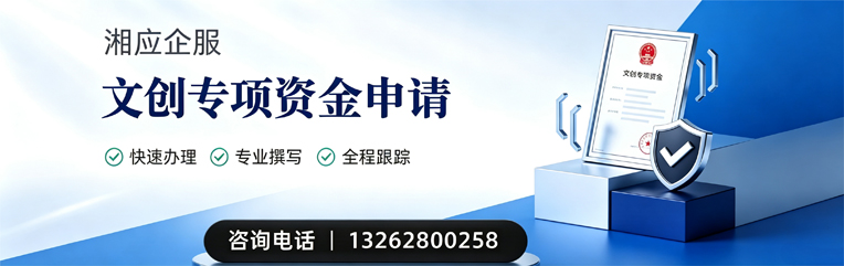 红河文创专项资金申报服务