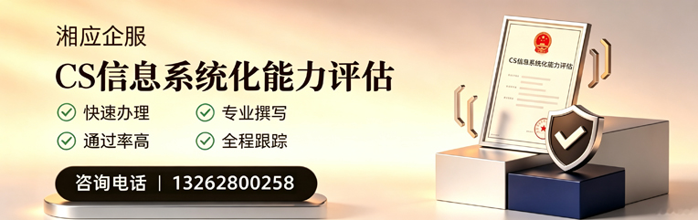 红河CS信息系统化能力评估申报服务