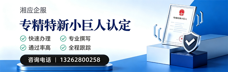 红河专精特新小巨人申报服务